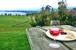 Cheese platter at Two Figs Winery with a glass of wine and the shoalhaven river in the background