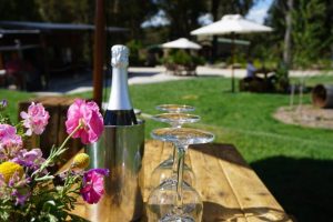 Southern Highlands Wine Tasting Day Tour