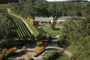 Centennial Vineyards on a Sydney Wine Tour in the Southern Highlands