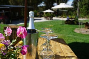 Artemis Wines-Things to do in Bowral