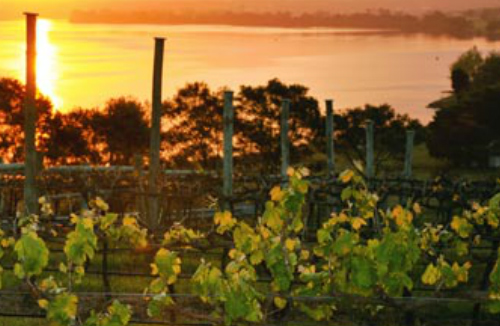 Berry Wine Tours - Twilight Tastings and Dinner Tour – Berry Private Group Wine Tasting Tour – From Berry and surrounding areas