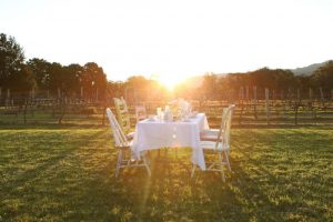 Table setting of a High Tea in the Vines at Cambewarra Estate