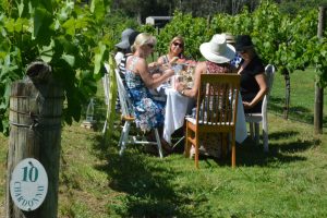 Ladies on a Girls Weekend in Berry enjoying a High Tea in the Vines Tour at Cambewarra Etstate