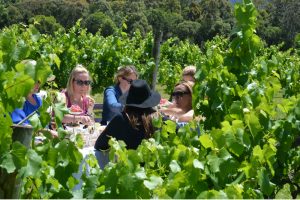 A group of ladies enjoying a special birthday celebration on a girls weekend in Berry at Cambewarra Estate.