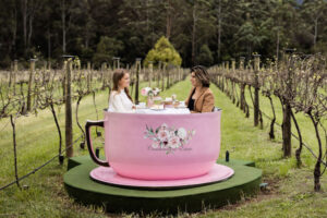 High Tea in the vines Cambewarra Estate