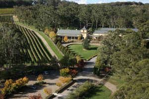 Ariel view of Centennial Vineyard on a Southern Highlands Food and Wine Tour