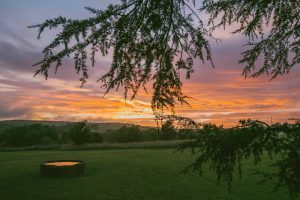 Bendooley Estate at sunset on one of the best Sydney Tours available