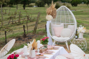 Picnic in Berry Coolangatta Estate Winery on a Kenny Escapes Unwine'd Picnic egg chair for a Hens Party