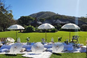 View of picnic set-up for a Hens Party at a winery on a wine tasting picnic tour