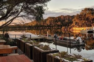 wine tasting and oyster shucking experience